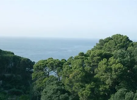 Calypso Отель типа 