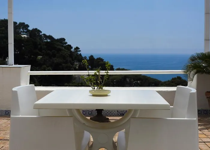 Calypso Oda ve Kahvaltı