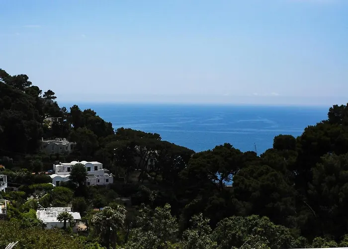 Oda ve Kahvaltı Calypso 4*