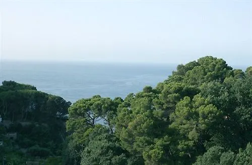 Calypso Oda ve Kahvaltı Capri